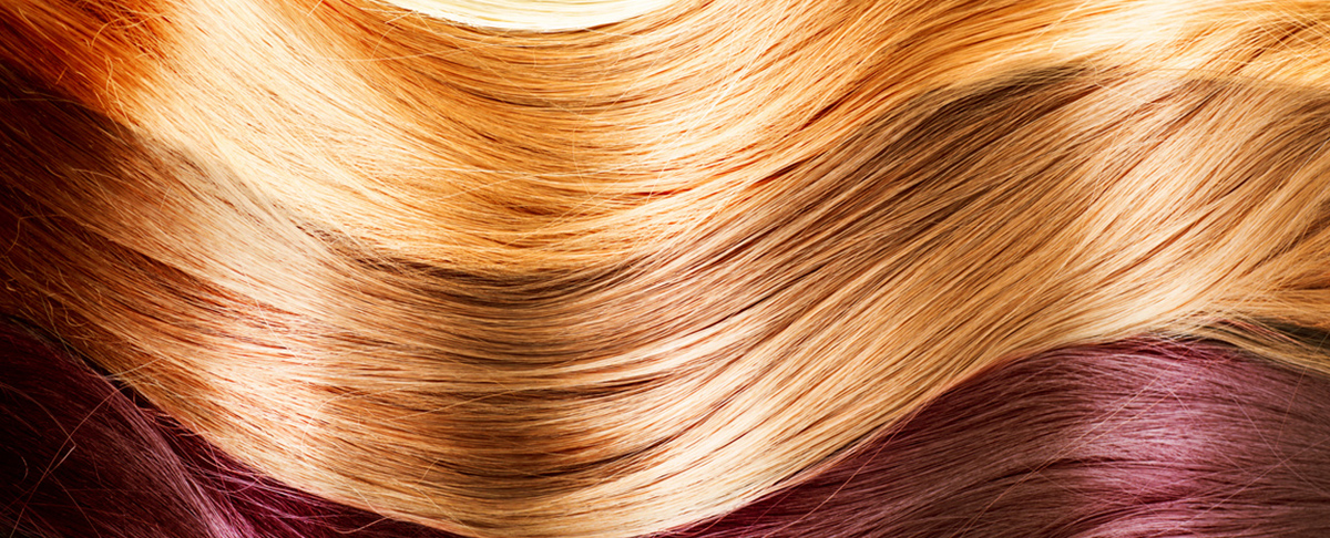 Extensiones